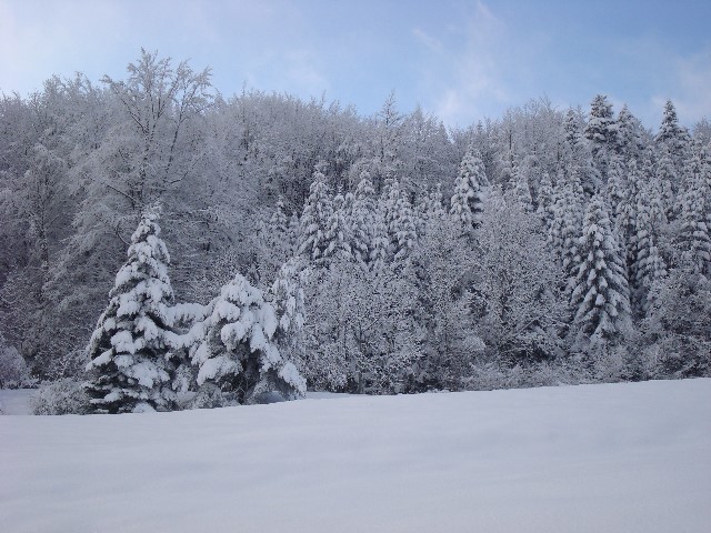 ../Images/Jagd 025.jpg